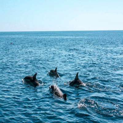 Maldives Sight Seeing Tour